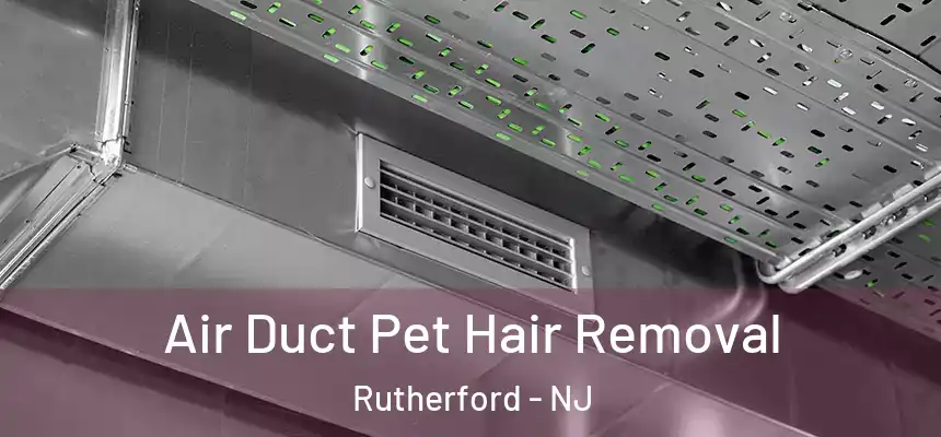  Air Duct Pet Hair Removal Rutherford - NJ