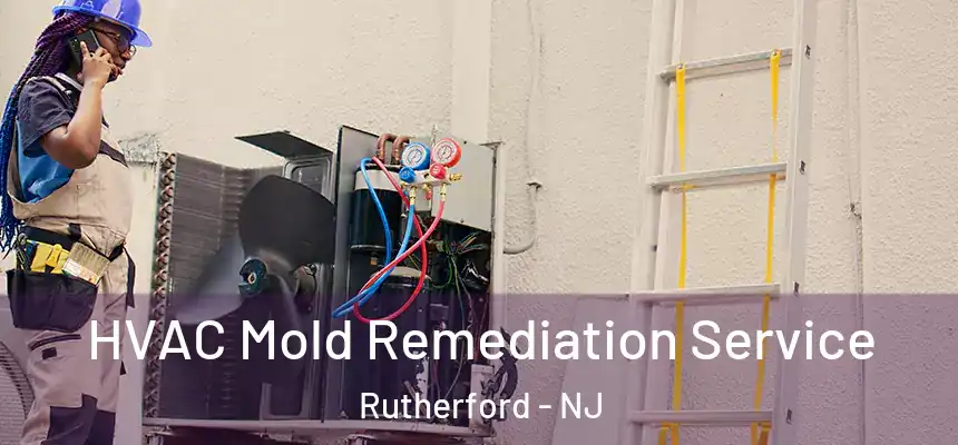  HVAC Mold Remediation Service Rutherford - NJ