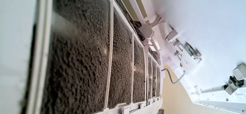 Preventive Air Duct Bacteria Removal in Rutherford