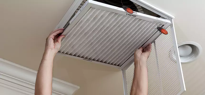 Preventive Cockroach-Proofing for Ducts in Rutherford