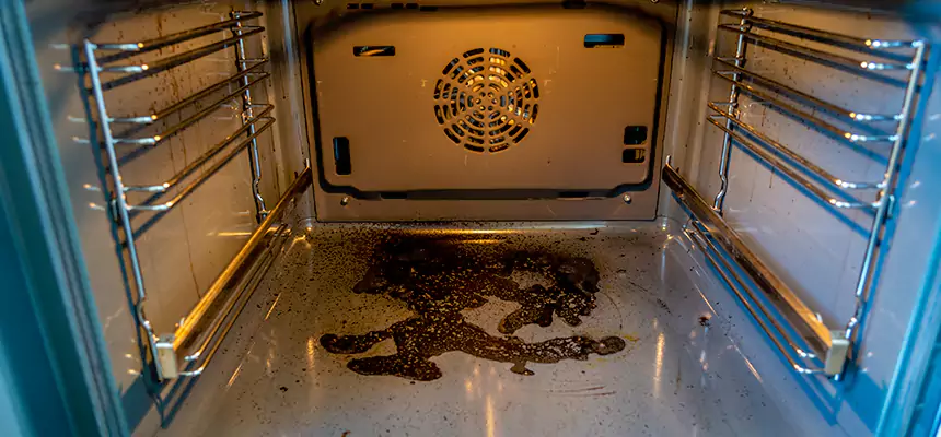 Our Dryer Vent Mold Cleaning Services in Rutherford, NJ