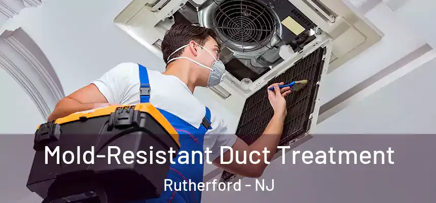  Mold-Resistant Duct Treatment Rutherford - NJ