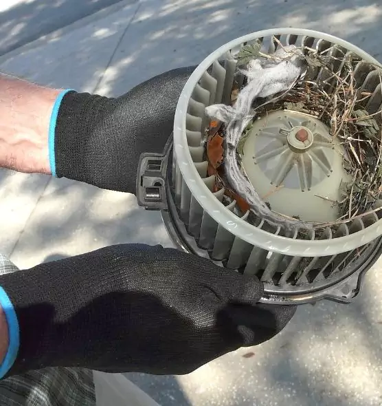 About Air Duct Mice Removal in Rutherford, NJ