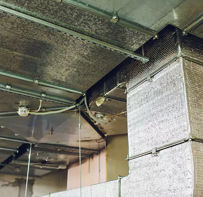 Why Homeowners & Businesses Trust Us in Rutherford, NJ?